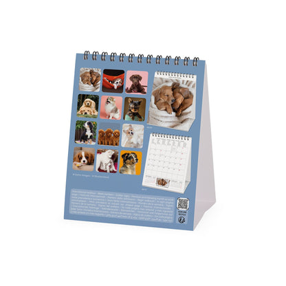 Legami Calendario da Tavolo 2027 Puppies 12 x 14,5 cm – foto 2